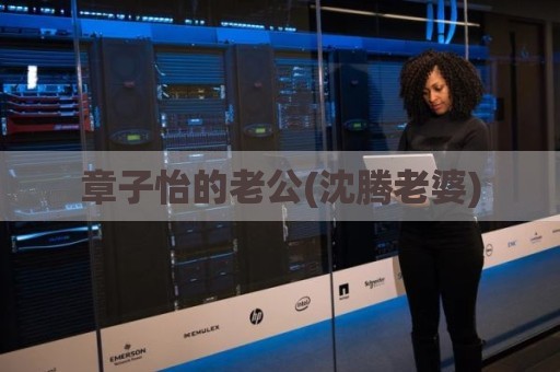 章子怡的老公(沈腾老婆)