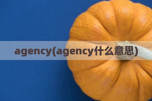 agency(agency什么意思)