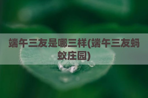 端午三友是哪三样(端午三友蚂蚁庄园)