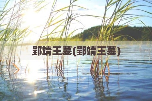郢靖王墓(郢靖王墓)