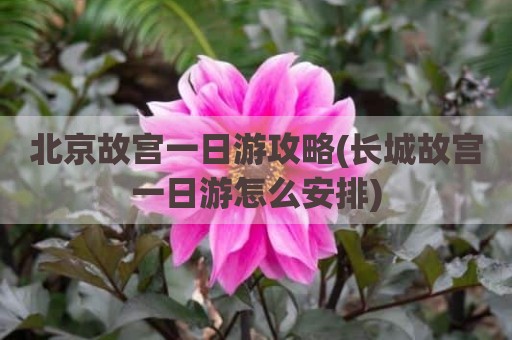 北京故宫一日游攻略(长城故宫一日游怎么安排)