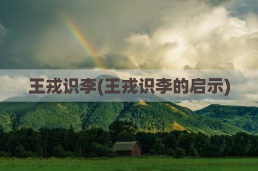 王戎识李(王戎识李的启示)