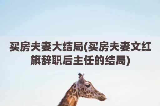 买房夫妻大结局(买房夫妻文红旗辞职后主任的结局)