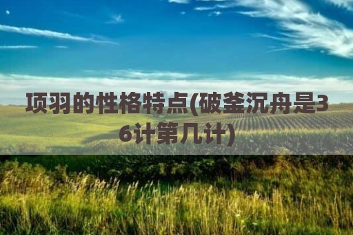 项羽的性格特点(破釜沉舟是36计第几计)