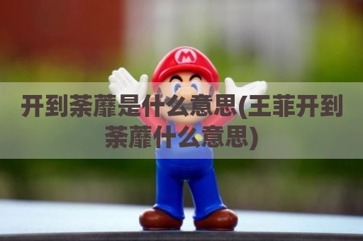 开到荼蘼是什么意思(王菲开到荼蘼什么意思)