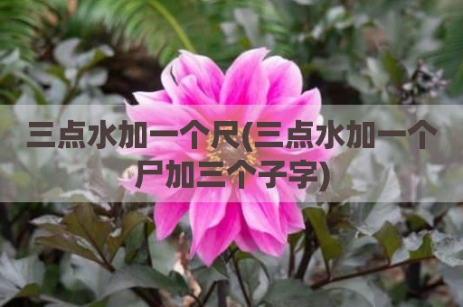 三点水加一个尺(三点水加一个尸加三个子字)