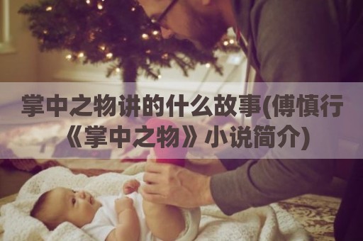 掌中之物讲的什么故事(傅慎行《掌中之物》小说简介)