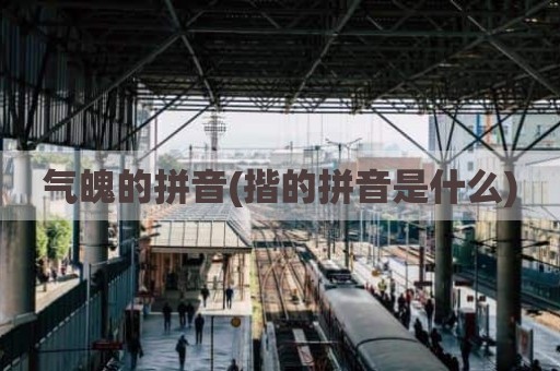 气魄的拼音(揩的拼音是什么)