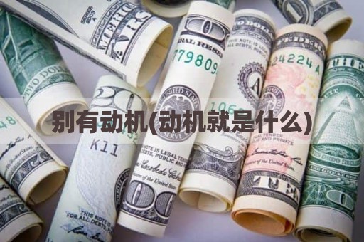 别有动机(动机就是什么)