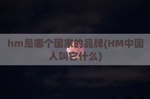 hm是哪个国家的品牌(HM中国人叫它什么)