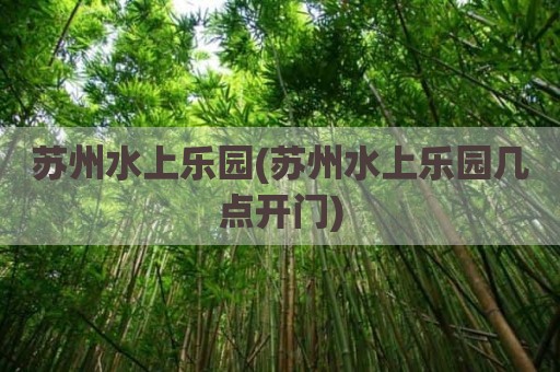 苏州水上乐园(苏州水上乐园几点开门)