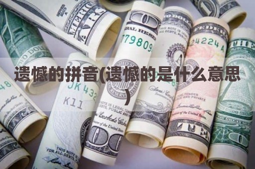 遗憾的拼音(遗憾的是什么意思)