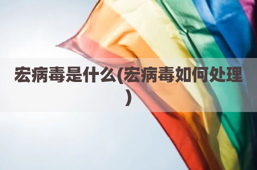 宏病毒是什么(宏病毒如何处理)