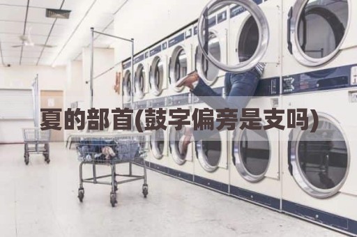 夏的部首(鼓字偏旁是支吗)