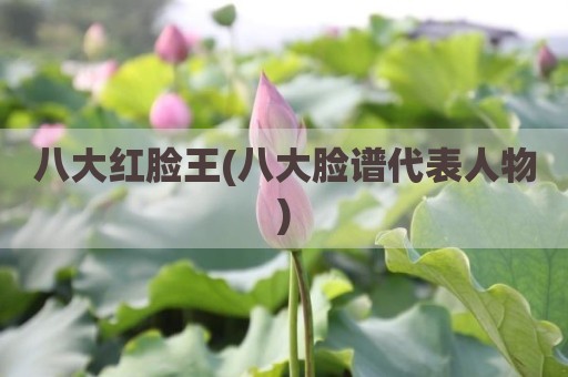 八大红脸王(八大脸谱代表人物)