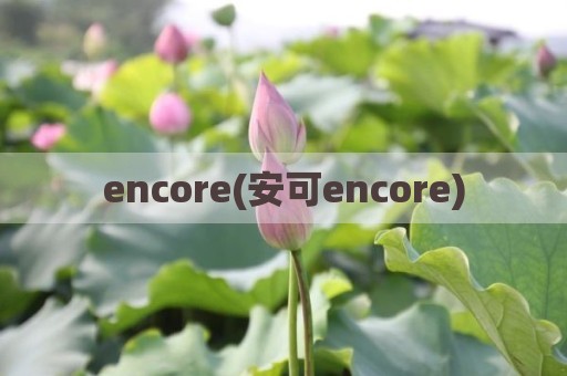 encore(安可encore)
