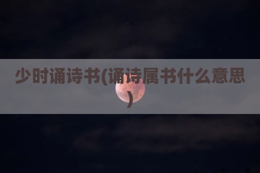 少时诵诗书(诵诗属书什么意思)