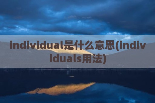 individual是什么意思(individuals用法)