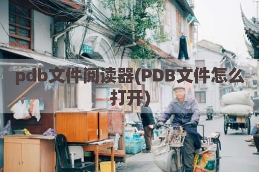pdb文件阅读器(PDB文件怎么打开)