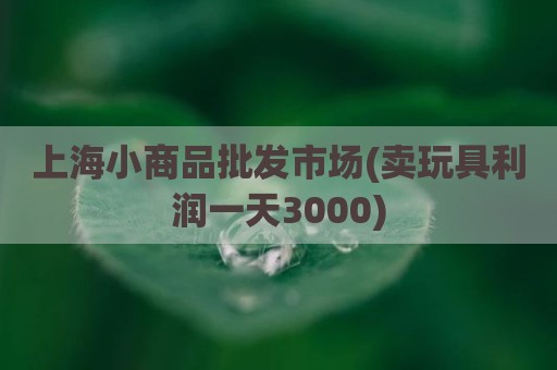 上海小商品批发市场(卖玩具利润一天3000)