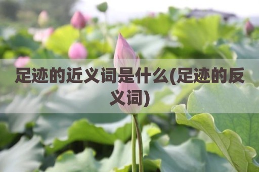 足迹的近义词是什么(足迹的反义词)