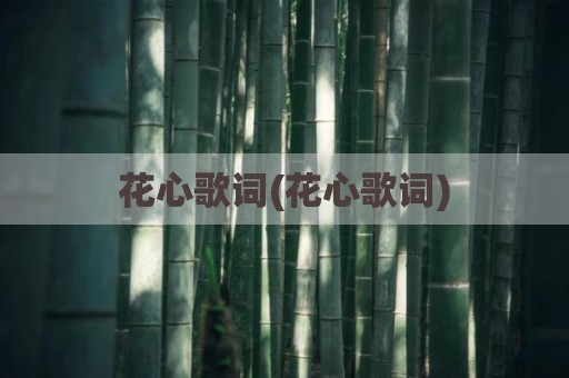 花心歌词(花心歌词)