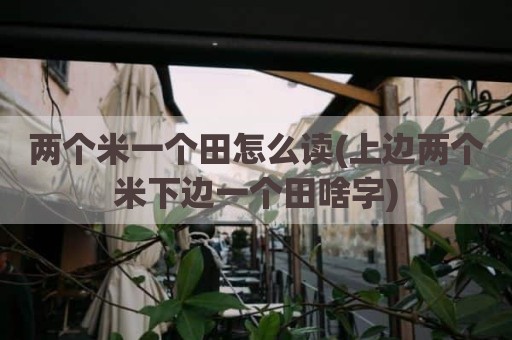 两个米一个田怎么读(上边两个米下边一个田啥字)