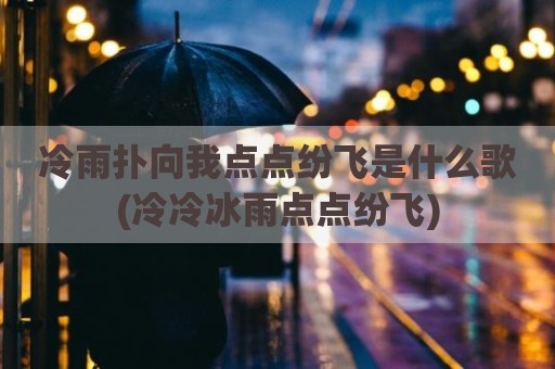 冷雨扑向我点点纷飞是什么歌(冷冷冰雨点点纷飞)