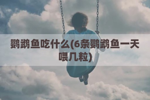 鹦鹉鱼吃什么(6条鹦鹉鱼一天喂几粒)