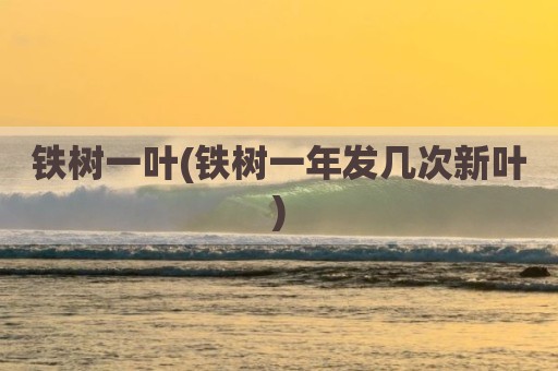 铁树一叶(铁树一年发几次新叶)