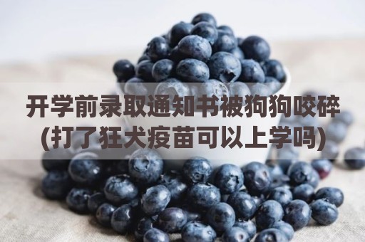 开学前录取通知书被狗狗咬碎(打了狂犬疫苗可以上学吗)