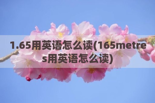 1.65用英语怎么读(165metres用英语怎么读)