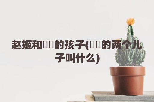 赵姬和嫪毐的孩子(嫪毐的两个儿子叫什么)