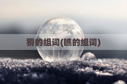 猾的组词(瞧的组词)