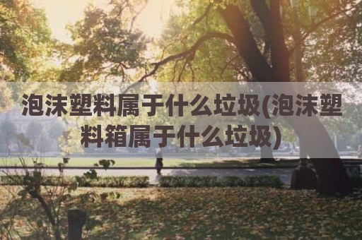 泡沫塑料属于什么垃圾(泡沫塑料箱属于什么垃圾)