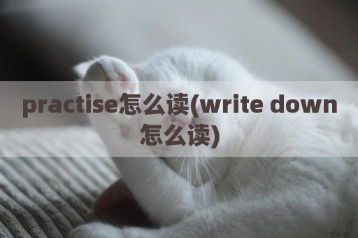 practise怎么读(write down怎么读)