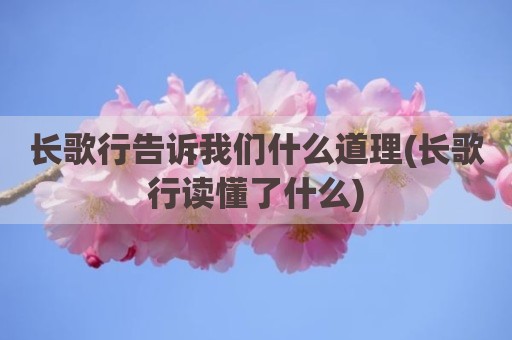 长歌行告诉我们什么道理(长歌行读懂了什么)