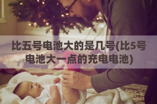 比五号电池大的是几号(比5号电池大一点的充电电池)