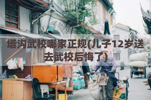 塔沟武校哪家正规(儿子12岁送去武校后悔了)