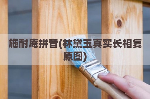施耐庵拼音(林黛玉真实长相复原图)