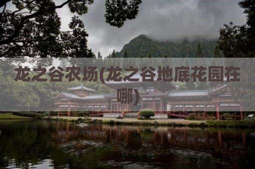 龙之谷农场(龙之谷地底花园在哪)