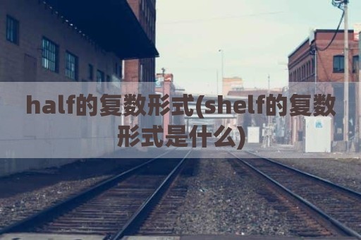 half的复数形式(shelf的复数形式是什么)