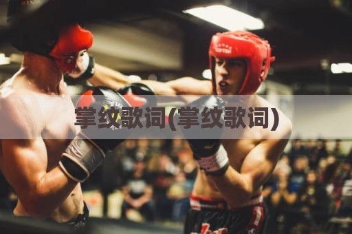 掌纹歌词(掌纹歌词)