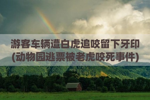 游客车辆遭白虎追咬留下牙印(动物园逃票被老虎咬死事件)