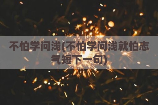 不怕学问浅(不怕学问浅就怕志气短下一句)