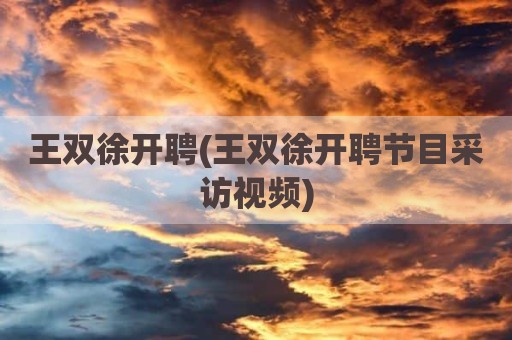 王双徐开聘(王双徐开聘节目采访视频)