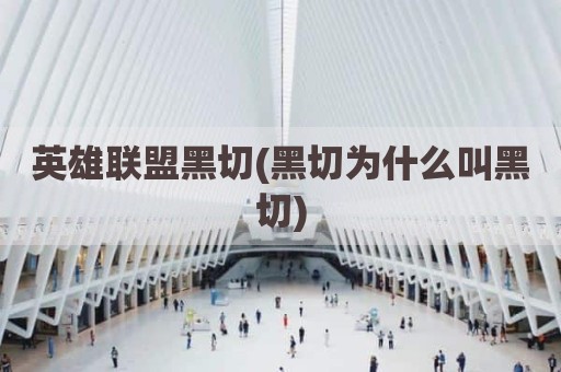 英雄联盟黑切(黑切为什么叫黑切)