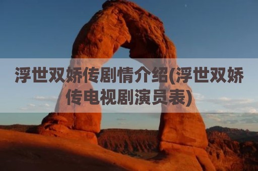 浮世双娇传剧情介绍(浮世双娇传电视剧演员表)