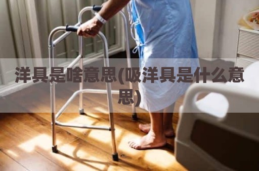 洋具是啥意思(吸洋具是什么意思)