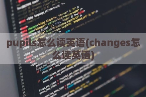 pupils怎么读英语(changes怎么读英语)